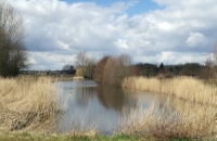 Vlaamse Ardennen